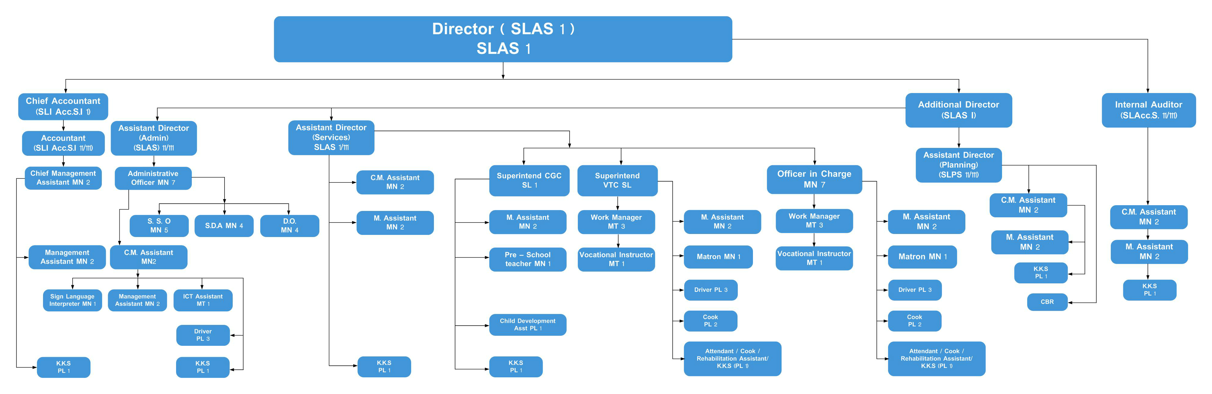 Mn It Services Org Chart